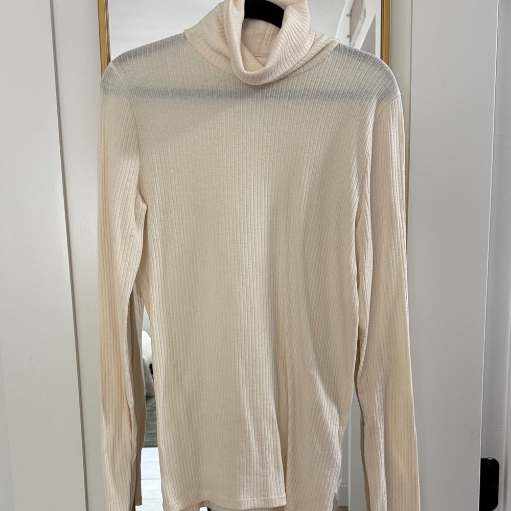 Madewell Ribbed Turtleneck